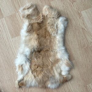 A279 rabbit pelt